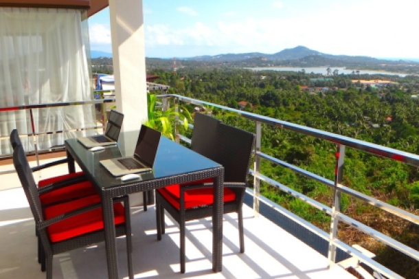 Stylish two-bedroom apartment with sea and mountain view in quiet residential area-3