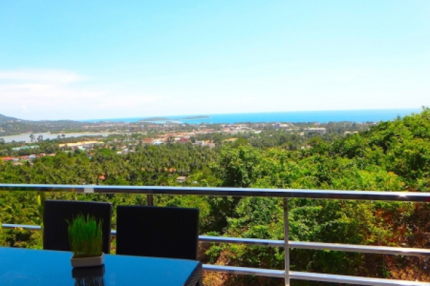 Stylish two-bedroom apartment with sea and mountain view in quiet residential area-5