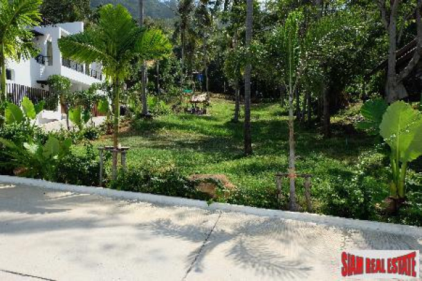 Hillside land in Kata only 10 minutes from Big Buddha and Kata beach-10