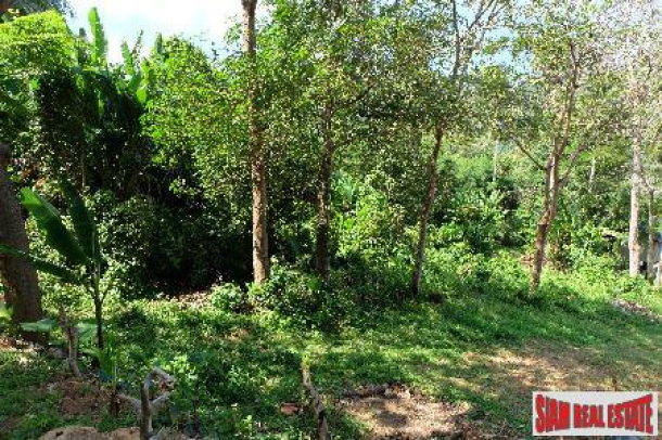 Hillside land in Kata only 10 minutes from Big Buddha and Kata beach-4