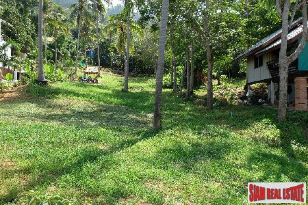 Hillside land in Kata only 10 minutes from Big Buddha and Kata beach-9