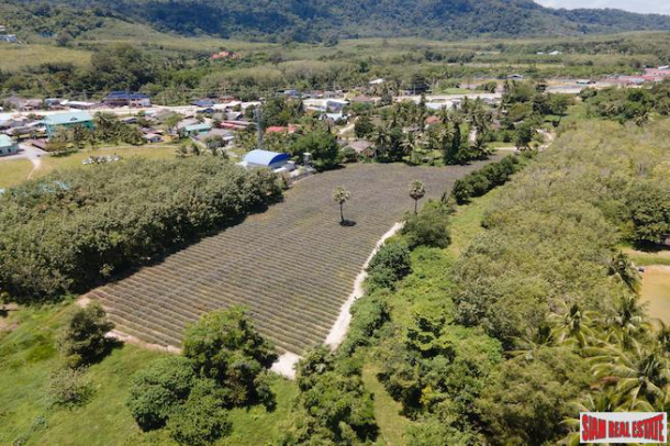 5.5 Rai Flat Land in Baan Phara - Mission Hills Phuket - Land already sub-divided 1 rai plots available-3