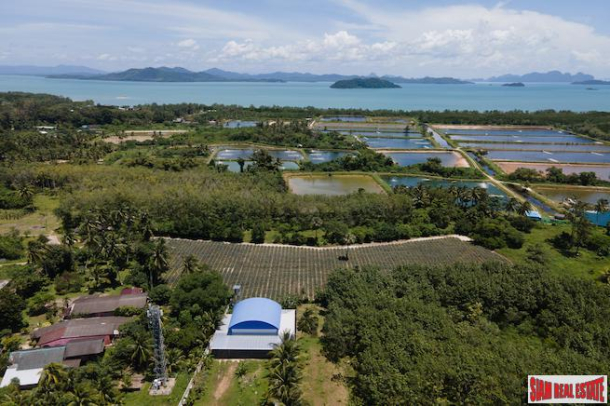 5.5 Rai Flat Land in Baan Phara - Mission Hills Phuket - Land already sub-divided 1 rai plots available-6