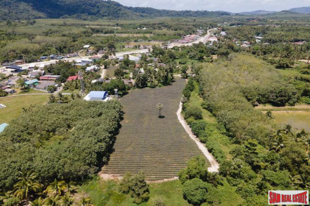 5.5 Rai Flat Land in Baan Phara - Mission Hills Phuket - Land already sub-divided 1 rai plots available-8