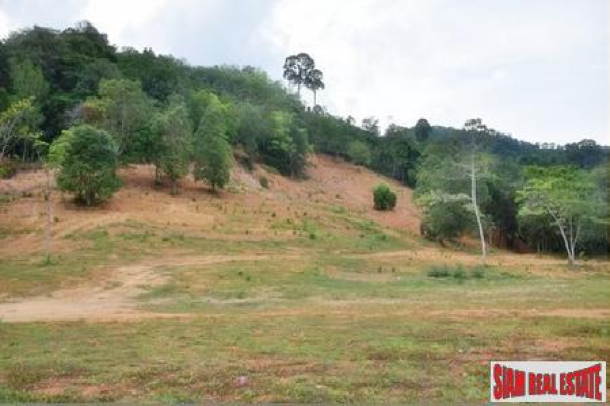 Land Plots For Sale in Kathu Behind Loch Palm Golf Course Starting From 5m THB-1