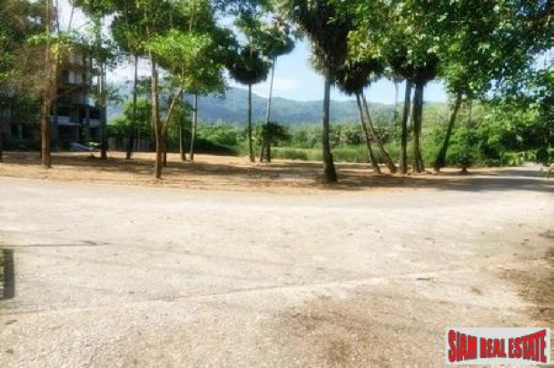 Flat Land for Sale in Bang Tao-4