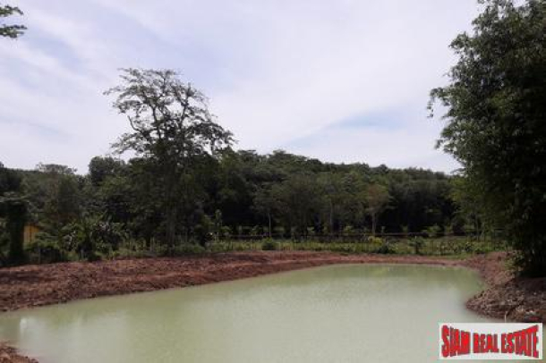 4.65 Rai - Flat Land with lagoons for Sale in Pa Klok - Offers Invited-10