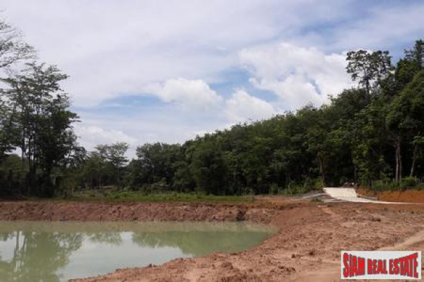4.65 Rai - Flat Land with lagoons for Sale in Pa Klok - Offers Invited-2