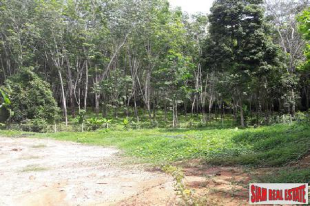 4.65 Rai - Flat Land with lagoons for Sale in Pa Klok - Offers Invited-4