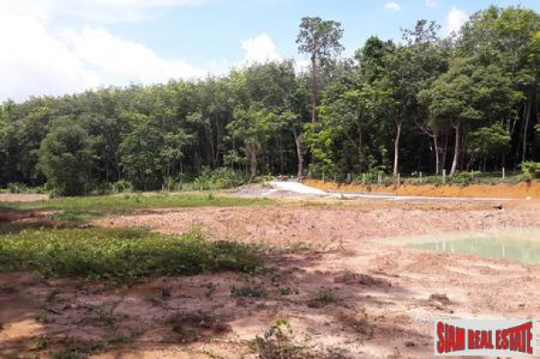 4.65 Rai - Flat Land with lagoons for Sale in Pa Klok - Offers Invited-5