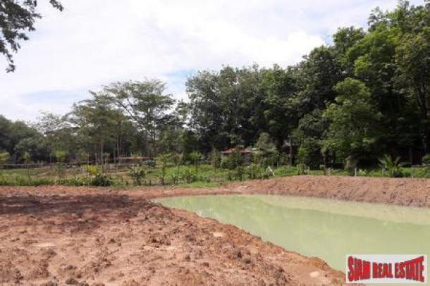 4.65 Rai - Flat Land with lagoons for Sale in Pa Klok - Offers Invited-7