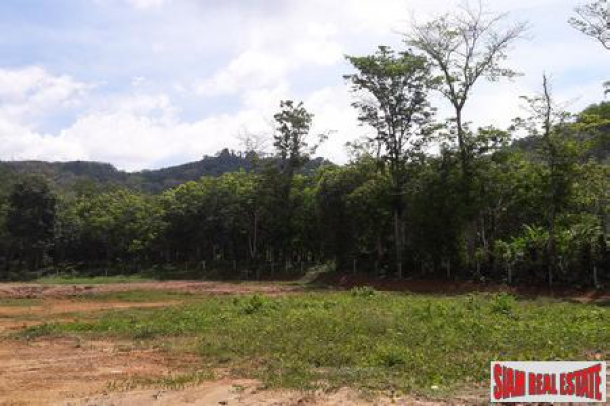 4.65 Rai - Flat Land with lagoons for Sale in Pa Klok - Offers Invited-9