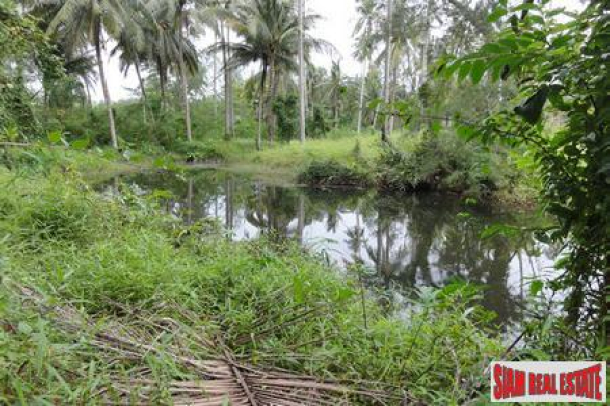 Plots of Land for Sale in Khao Lak with Road Access of Tarmac-2