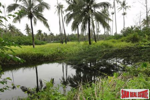 Plots of Land for Sale in Khao Lak with Road Access of Tarmac-4