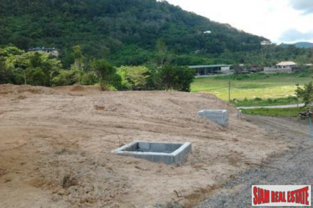 Land for Sale with Big Buddha Mountain View-Build your own Home or Villa-2