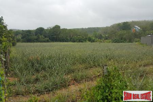 3.45 Rai of flat land in Cherng Talay - Popular residential area & perfect for villa development or large home-1