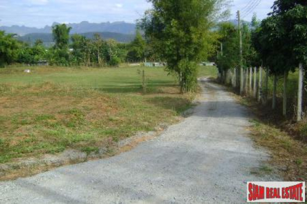 Beautiful Mountain View Land and Home for Sale in Chang Dao, Chiang Mai-3