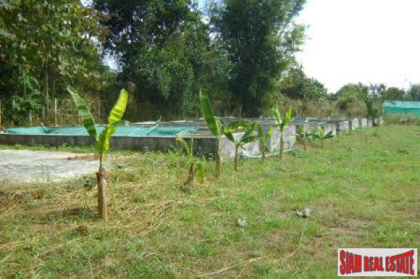 Beautiful Mountain View Land and Home for Sale in Chang Dao, Chiang Mai-5
