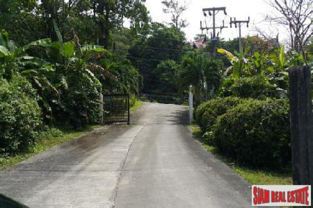 Flat Land in Prime Location For Sale on Phuket's West Coast-4