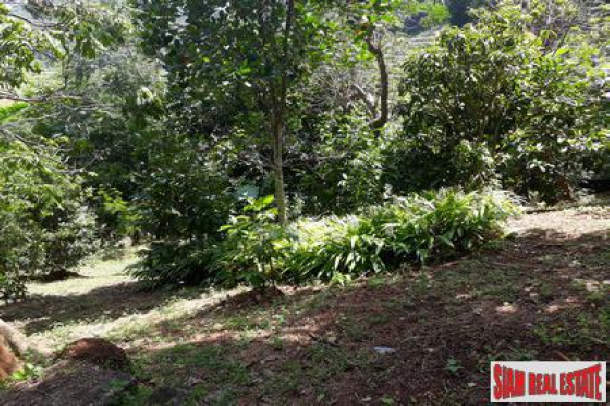 Unstoppable Sea Views from this Land Plot For Sale in Rawai-10