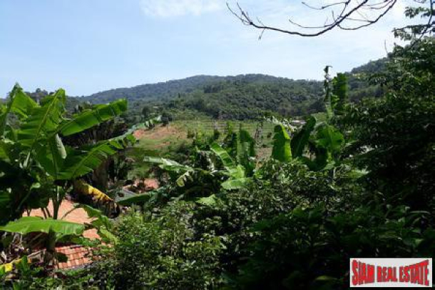 Unstoppable Sea Views from this Land Plot For Sale in Rawai-14