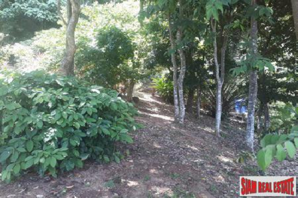 Unstoppable Sea Views from this Land Plot For Sale in Rawai-3