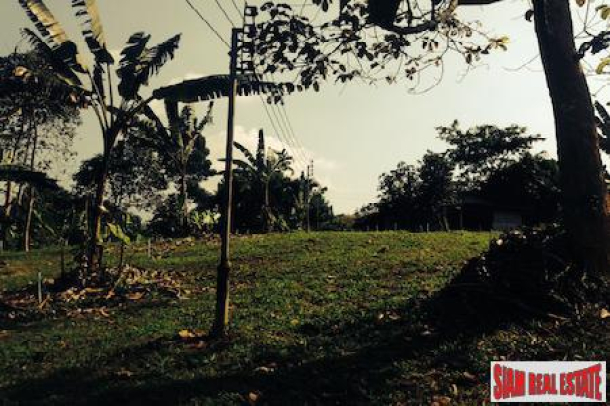 Land with Ponds, Fruit Trees and Views for Sale In Phang Nga, Thailand-11