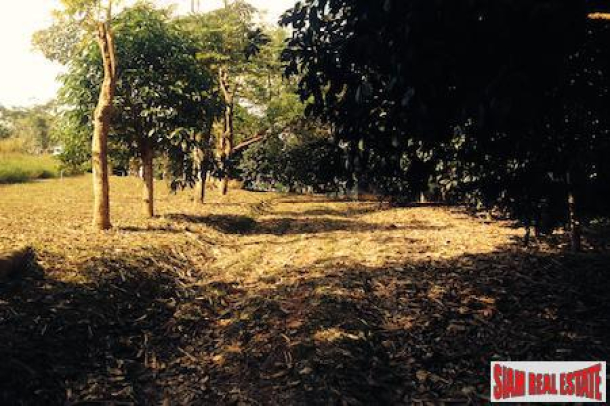 Land with Ponds, Fruit Trees and Views for Sale In Phang Nga, Thailand-12