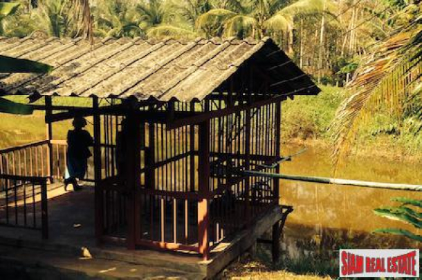 Land with Ponds, Fruit Trees and Views for Sale In Phang Nga, Thailand-14