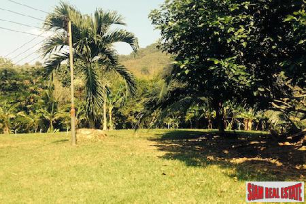 Land with Ponds, Fruit Trees and Views for Sale In Phang Nga, Thailand-16
