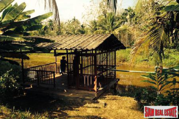 Land with Ponds, Fruit Trees and Views for Sale In Phang Nga, Thailand-2