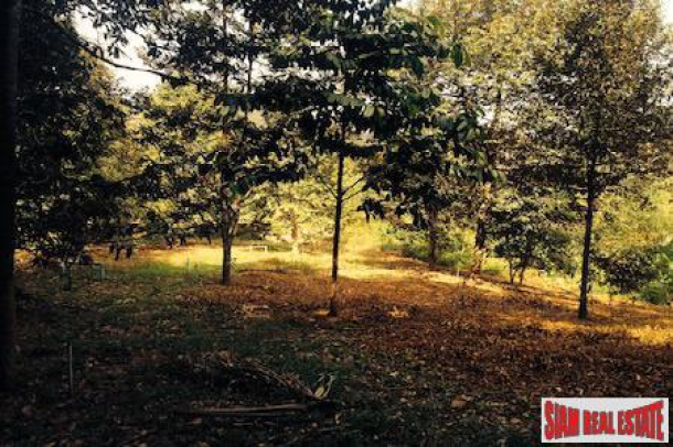 Land with Ponds, Fruit Trees and Views for Sale In Phang Nga, Thailand-3