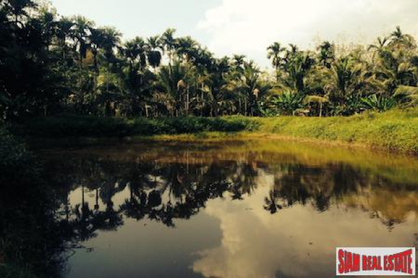 Land with Ponds, Fruit Trees and Views for Sale In Phang Nga, Thailand-5