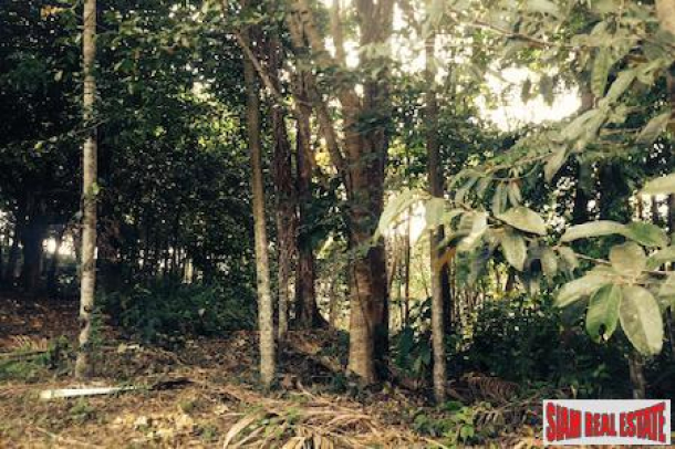 Land with Ponds, Fruit Trees and Views for Sale In Phang Nga, Thailand-6