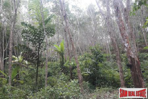 Over 20 Rai of Land for Sale in Beautiful Phang Nga-1
