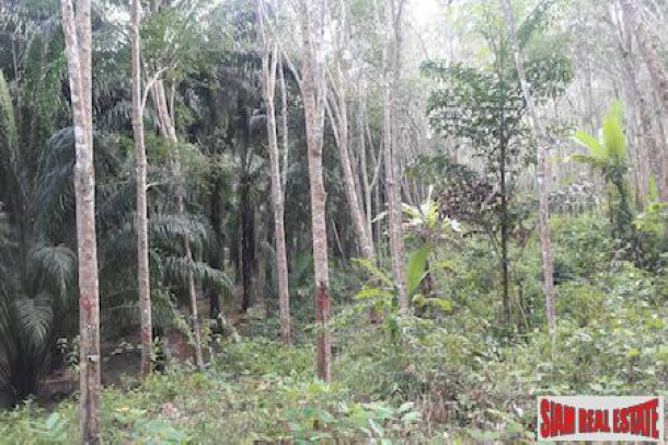 Over 20 Rai of Land for Sale in Beautiful Phang Nga-2