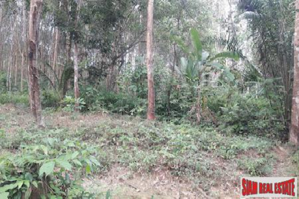 Over 20 Rai of Land for Sale in Beautiful Phang Nga-3