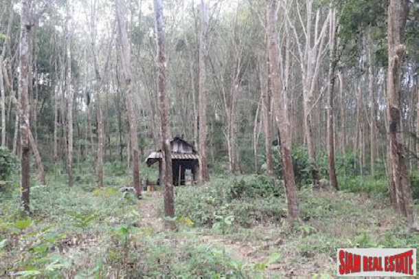Over 20 Rai of Land for Sale in Beautiful Phang Nga-4