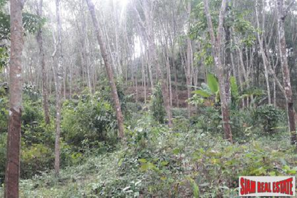 Over 20 Rai of Land for Sale in Beautiful Phang Nga-5
