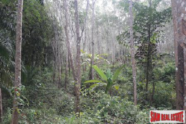 Over 20 Rai of Land for Sale in Beautiful Phang Nga-6