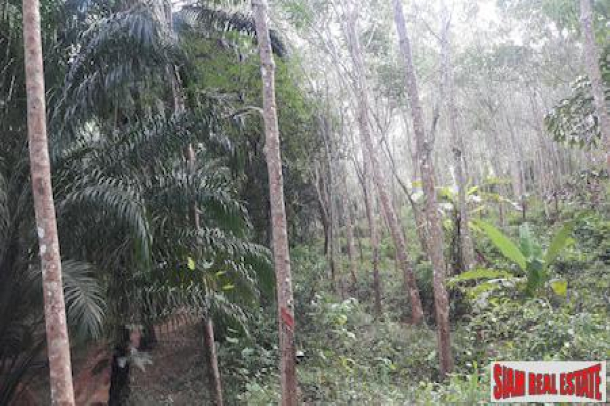 Over 20 Rai of Land for Sale in Beautiful Phang Nga-8