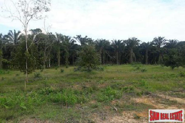 Large Land Plot for Sale Close to the Sarasin Bridge in Phang Nga-1