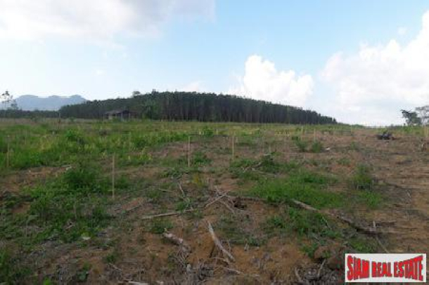 Large Land Plot for Sale Close to the Sarasin Bridge in Phang Nga-10