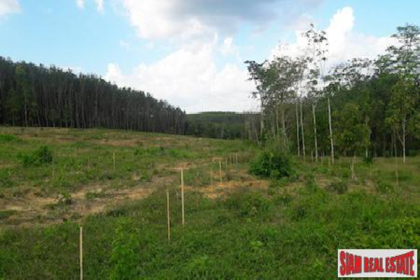 Large Land Plot for Sale Close to the Sarasin Bridge in Phang Nga-6
