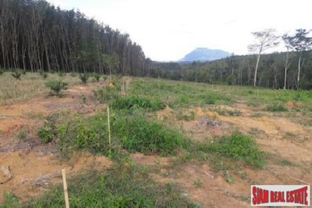 Large Land Plot for Sale Close to the Sarasin Bridge in Phang Nga-7