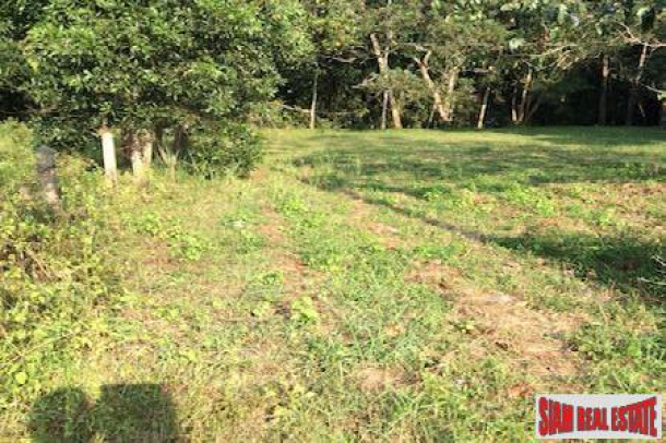Prime Flat Land Parcel For Sale in Phang Nga, Thailand-2