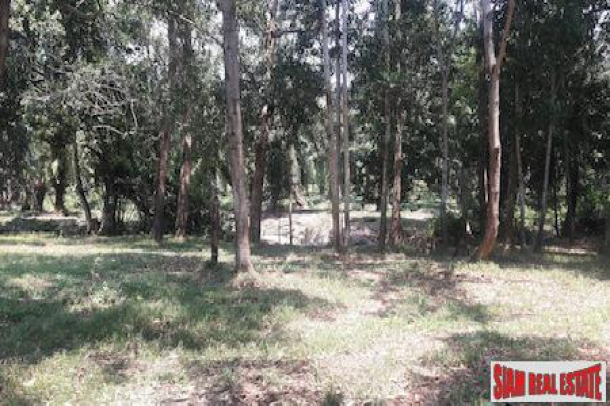 Prime Flat Land Parcel For Sale in Phang Nga, Thailand-3