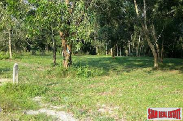 Prime Flat Land Parcel For Sale in Phang Nga, Thailand-4