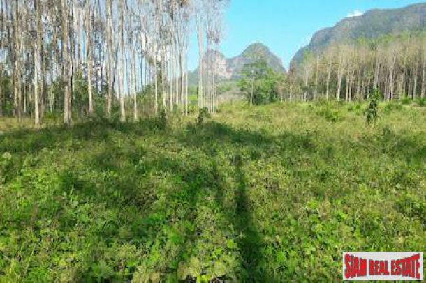 Investment Property in Phang Nga, Thailand-2