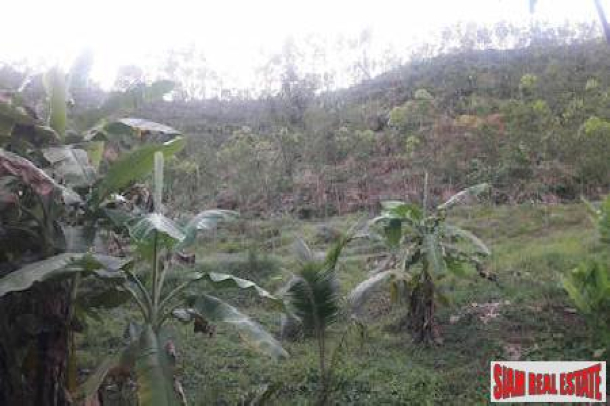 Lush Tropical Hillside Property in Phang Nga-10